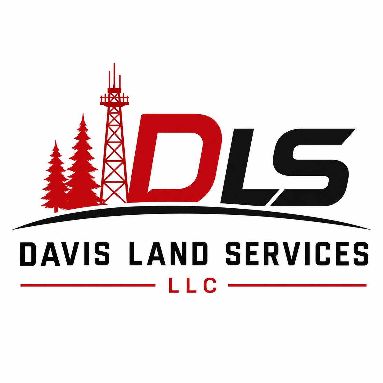 Davis Land Services LLC logo